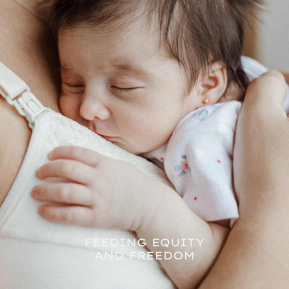 Feeding Equity and Freedom